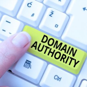 Domain Authority vs Page Authority: Apa Perbedaannya dalam SEO?