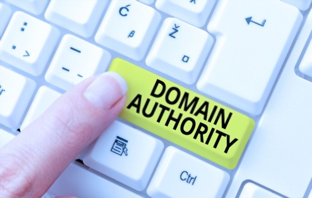 Domain Authority vs Page Authority: Apa Perbedaannya dalam SEO?