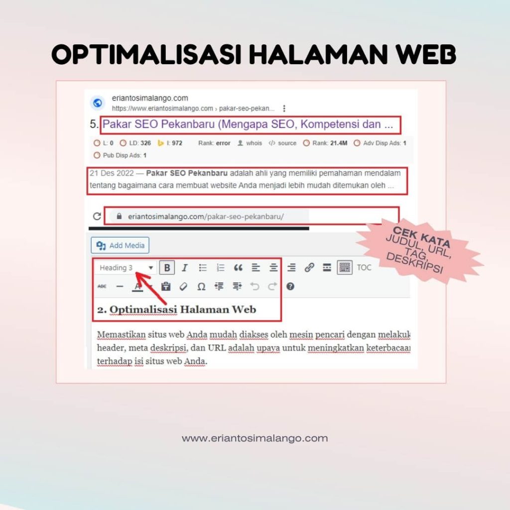 SEO untuk Situs Satu Halaman vs Multi-Halaman: Apa Kelebihan dan Kekurangannya?