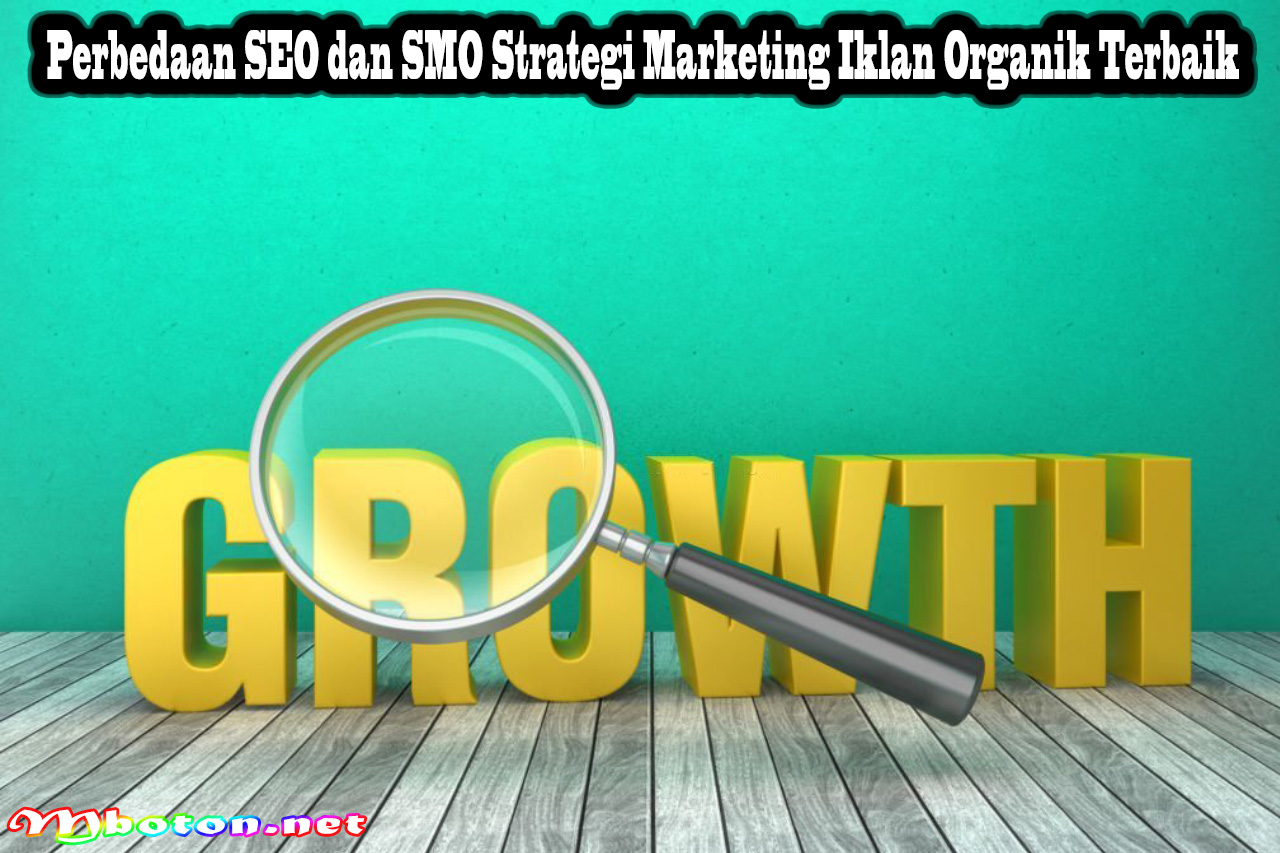 SEO Organik vs Iklan Berbayar: Kombinasi yang Efektif untuk Hasil Maksimal