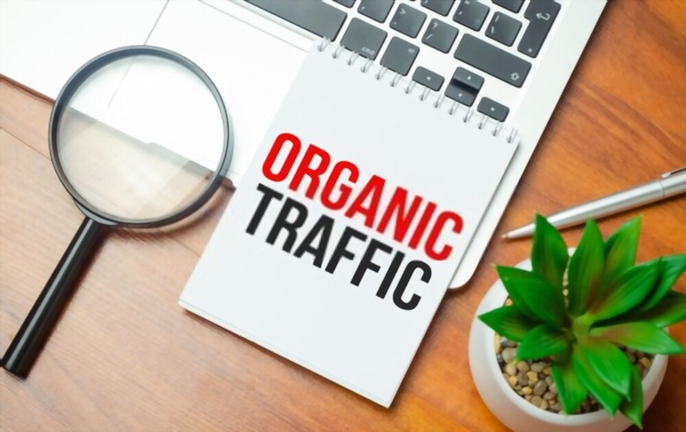 SEO Organik vs Referral Traffic: Cara Meningkatkan Keduanya Secara Bersamaan